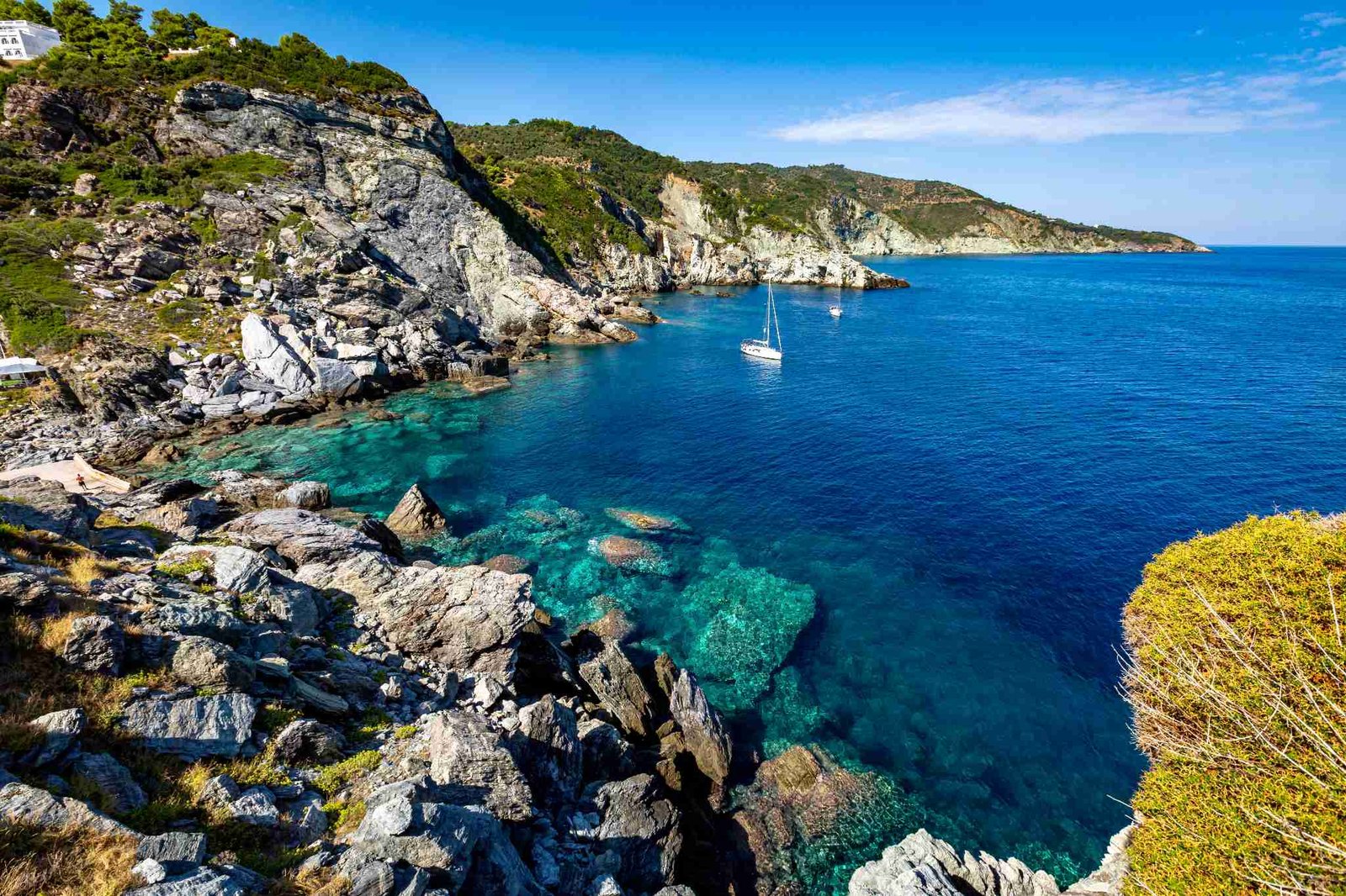 Rocky pine-covered coastline of Skopelos